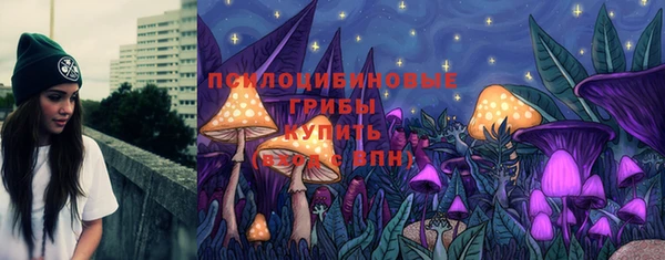 соль ск Осинники
