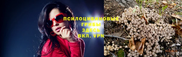 стафф Нягань