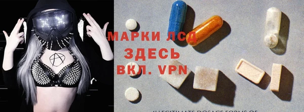 ГАЛЛЮЦИНОГЕННЫЕ ГРИБЫ Осташков